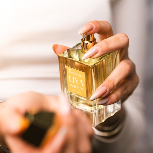 עותק של Untited-1 עותק של Untited-1